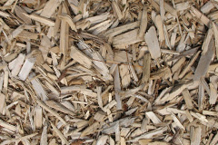 biomass boilers Chute Cadley
